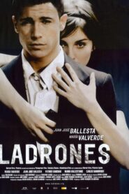 Thieves 2007 on netflix