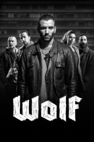 Wolf 2013 on netflix