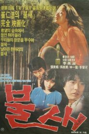 The Bird of Fire 1980 on netflix