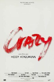 Crazy 1999 on netflix