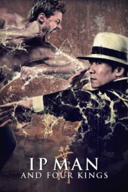 Ip Man and Four Kings 2019 on netflix