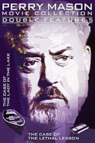 Perry Mason: The Case of the Lady in the Lake 1988 on netflix