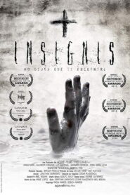 Insignis 2017 on netflix