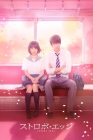 Strobe Edge 2015 on netflix
