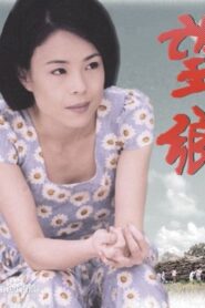 望鄉 2001 on netflix