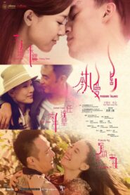 Passion Island 2012 on netflix