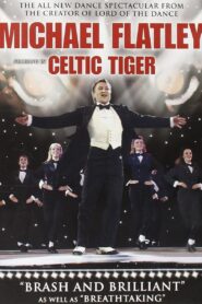 Celtic Tiger 2005 on netflix