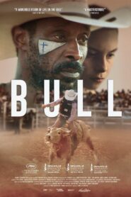 Bull 2020 on netflix