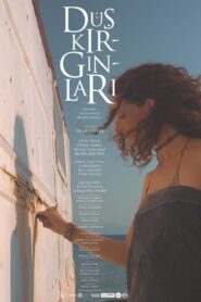 Düş Kırgınları 2018 on netflix