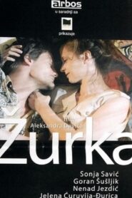 The Party 2004 on netflix