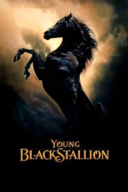 Young Black Stallion 2003 on netflix