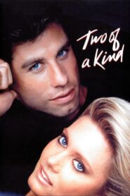 Two of a Kind 1983 on netflix