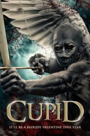 Cupid 2020 on netflix