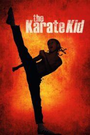 The Karate Kid 2010 on netflix