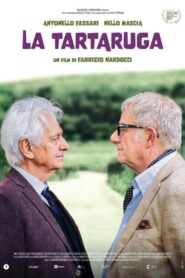 La tartaruga 2024 on netflix