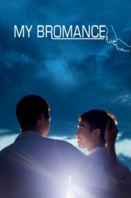 My Bromance 2014 on netflix