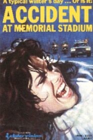 The Accident 1983 on netflix
