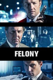 Felony 2014 on netflix