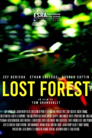 Lost Forest 2022 on netflix