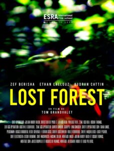 Lost Forest 2022 on netflix
