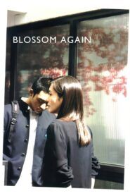 Blossom Again 2005 on netflix