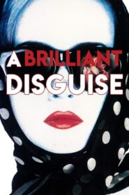 A Brilliant Disguise 1994 on netflix