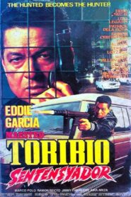 Maestro Toribio: Sentensyador 1994 on netflix