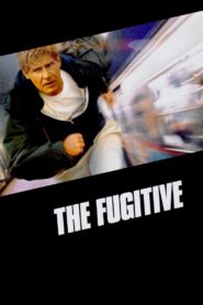 The Fugitive 1993 on netflix