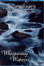 Moodtapes: Whispering Waters 1992 on netflix