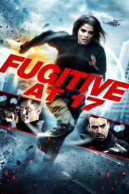 Fugitive at 17 2012 on netflix