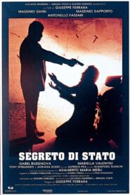 Segreto di Stato 1995 on netflix