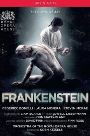 Frankenstein 2016 on netflix