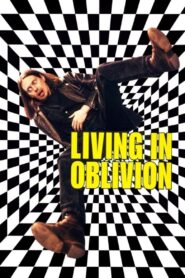Living in Oblivion 1995 on netflix