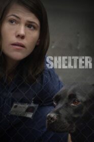 Shelter 2015 on netflix