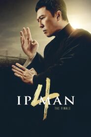 Ip Man 4: The Finale 2019 on netflix