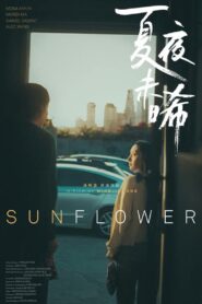 Sunflower 2022 on netflix