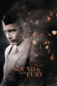 The Sound and the Fury 2015 on netflix