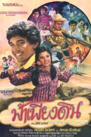 ฟ้าเพียงดิน 1981 on netflix