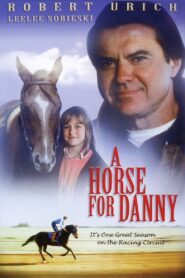 A Horse for Danny 1995 on netflix