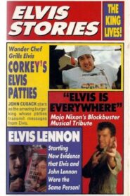 Elvis Stories 1989 on netflix
