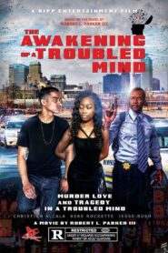 A Troubled Mind 2015 on netflix