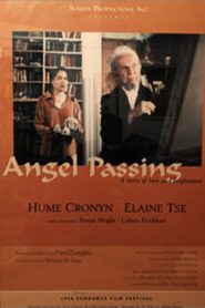 Angel Passing 1998 on netflix