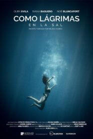 Como lagrimas en la sal 2016 on netflix