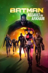 Batman: Assault on Arkham 2014 on netflix