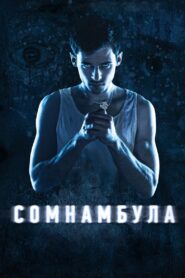 Somnambulist 2013 on netflix