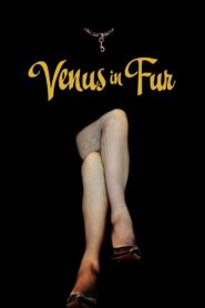 Venus in Fur 2013 on netflix