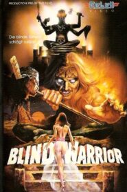 The Blind Man from Ghost Cave: Blind Warrior 1987 on netflix