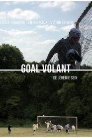 Goal Volant 2016 on netflix