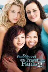 The Sisterhood of the Traveling Pants 2 2008 on netflix