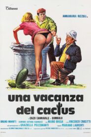 Una vacanza del cactus 1981 on netflix